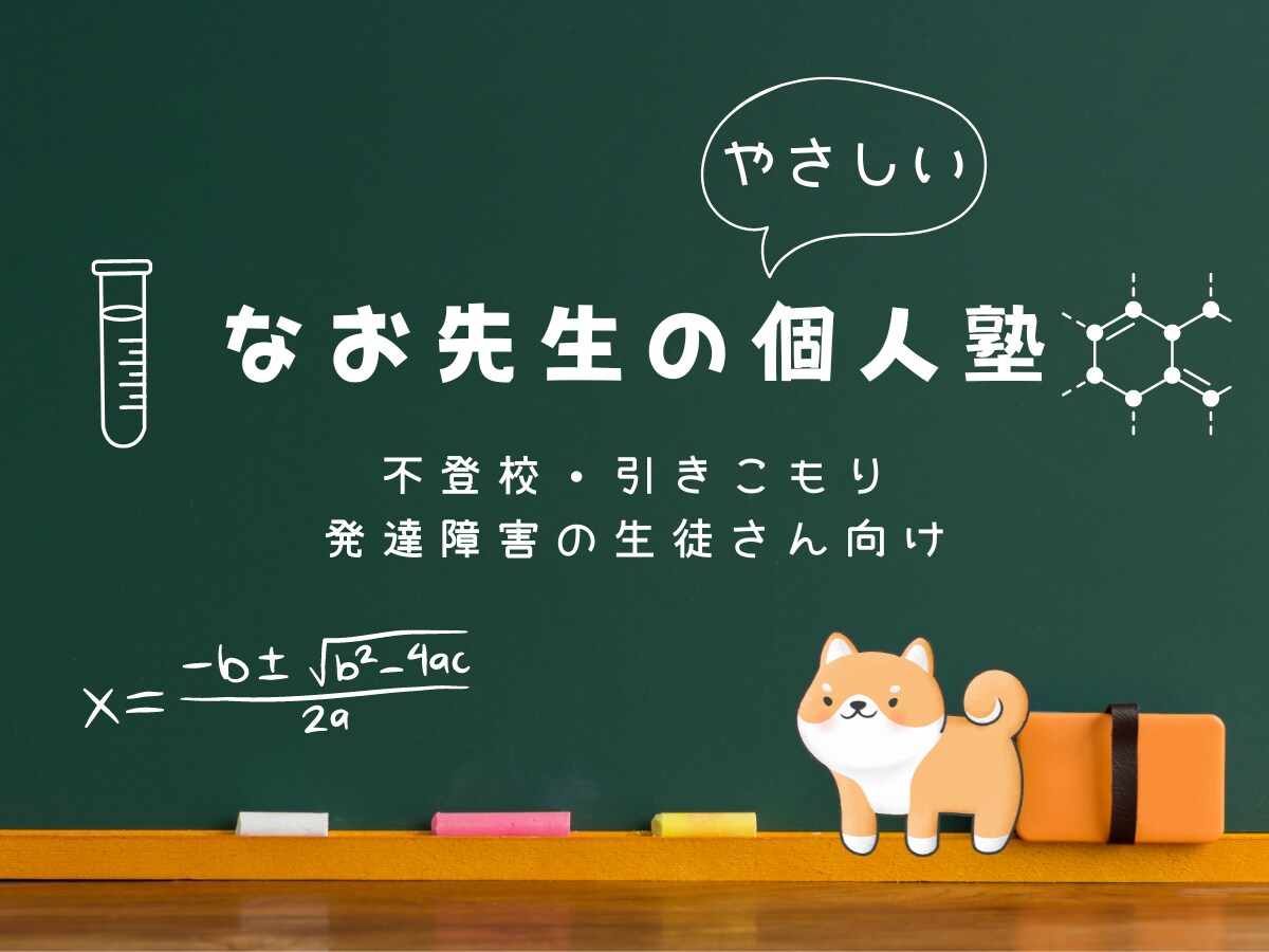 不登校、引きこもり、発達障害生徒向けの授業をします 夏休みが明けても学校に行けない！などで学習が不安な生徒さんへ イメージ2