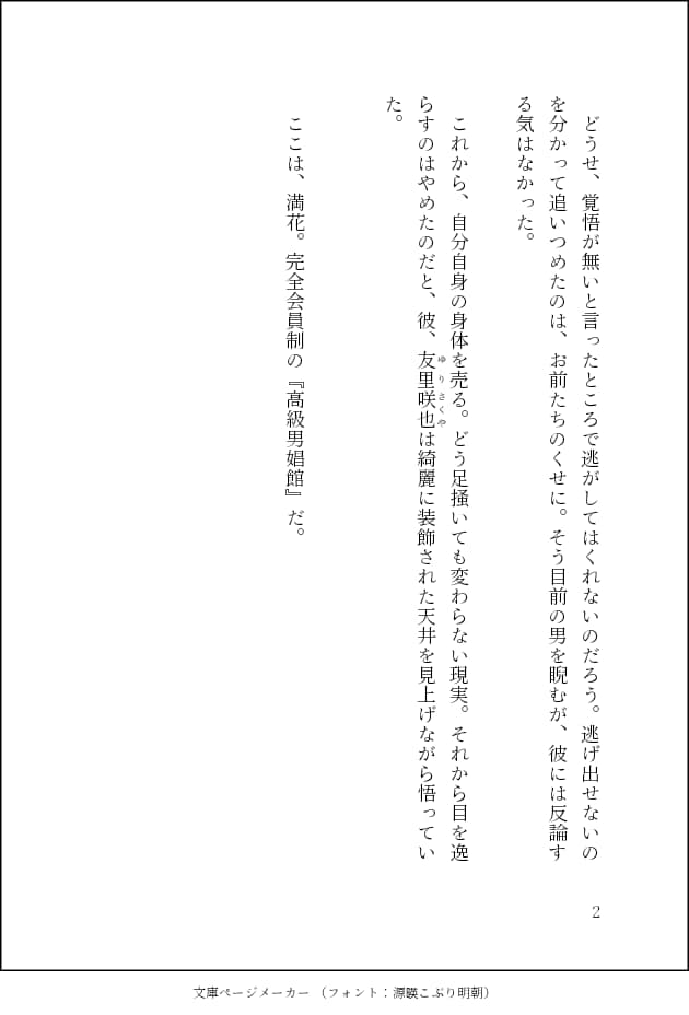 即日可能！短編小説書きます 5000字以内であなたの好きを小説にします イメージ3