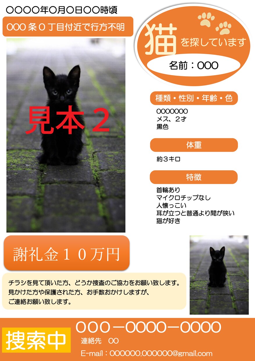 ペットの迷子チラシ作ります 捜査に必要なチラシお任せ下さい。 イメージ2