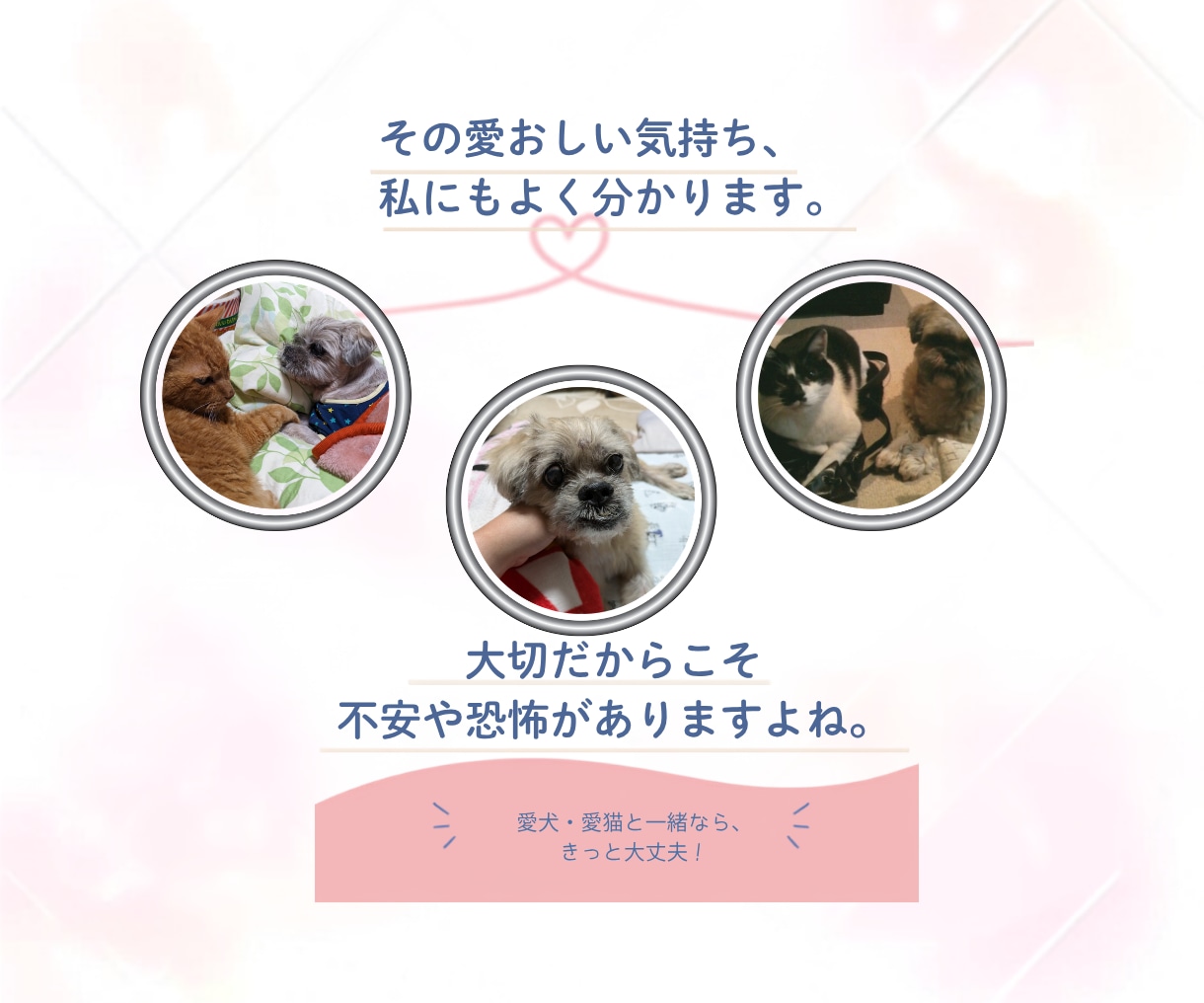 愛犬愛猫を看取った経験者がシニア期の不安聴きます シニア期・介護の不安や本音…一人で抱え込まずお話しください イメージ4