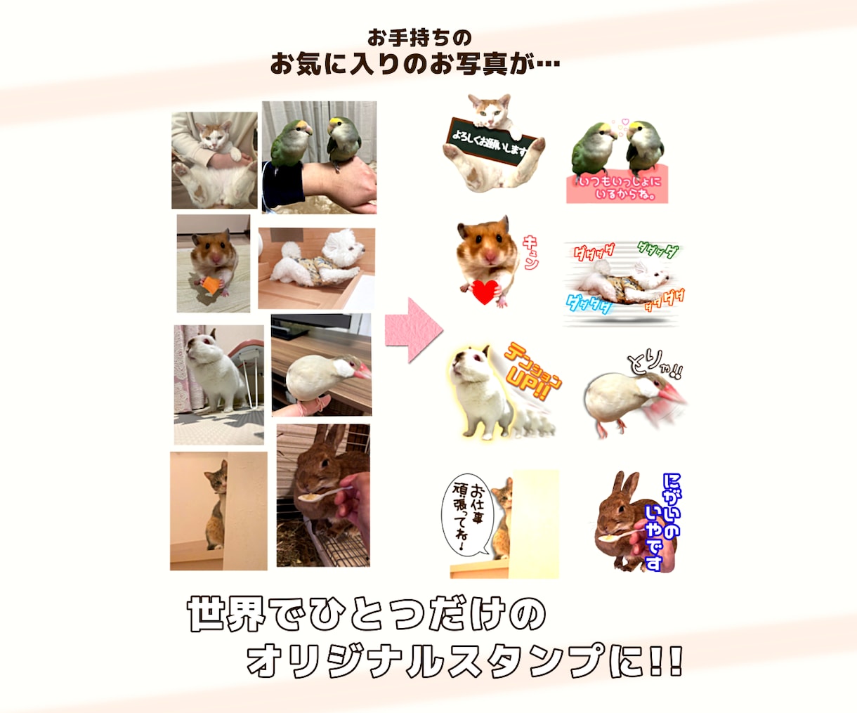 あなただけのオリジナルLINEスタンプ作ります 「うちの子スタンプ」細かな部分まで丁寧に仕上げます♪ イメージ2