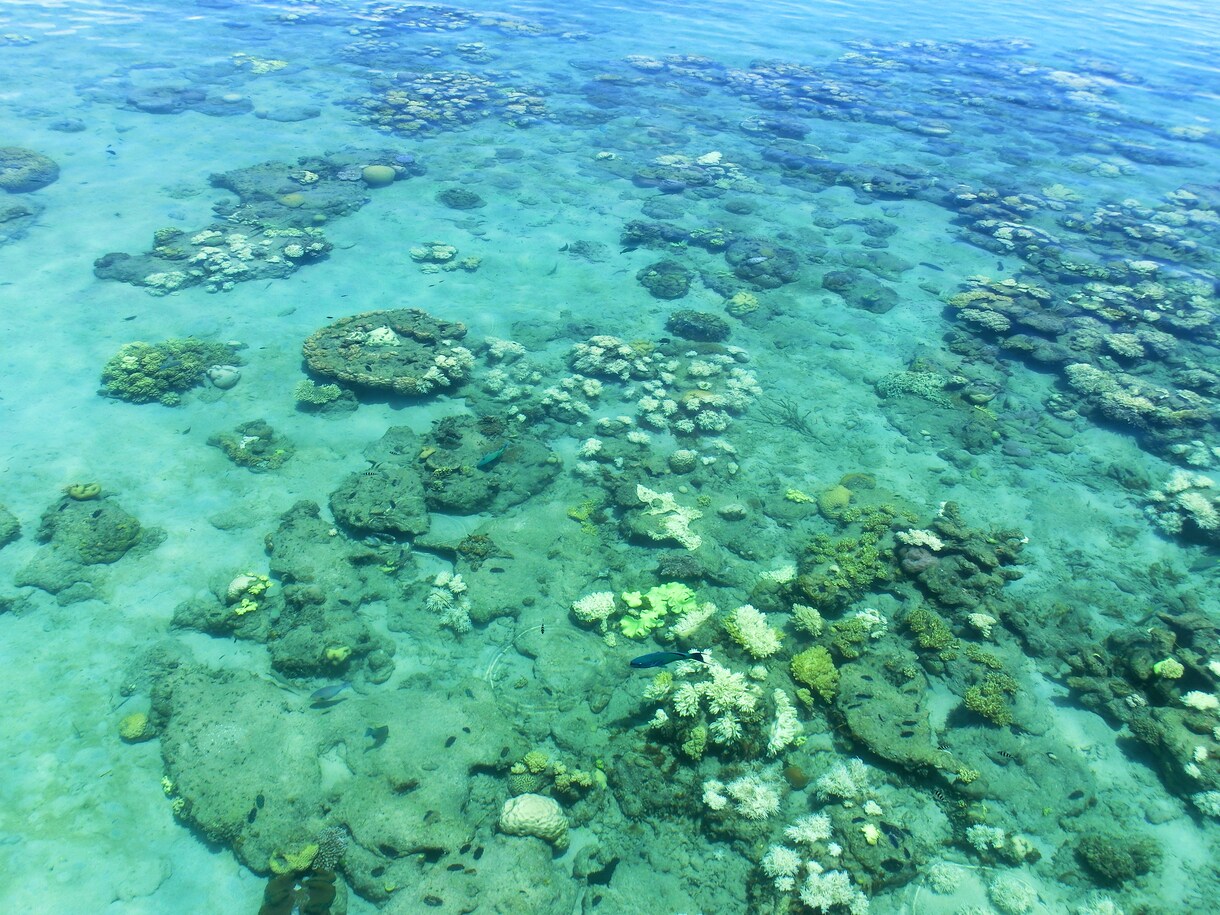 ワーホリ、リゾバ、海外旅行相談のります ワーホリや留学、リゾバ何か不安があればお力になります。 イメージ4