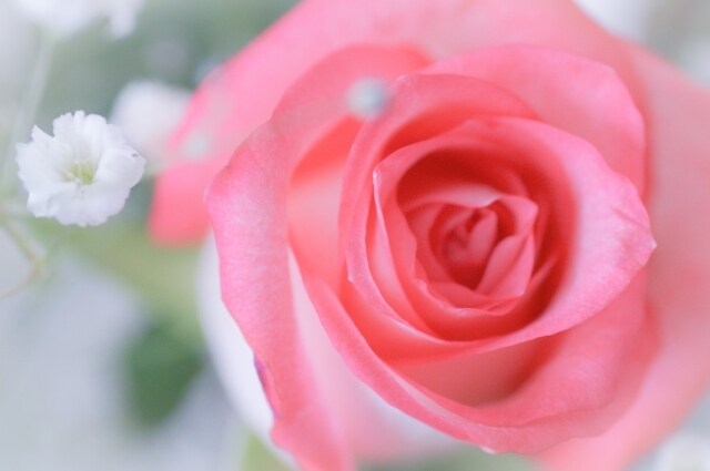 海外在住ママが子育てのイライラ・不安お聞きします 「怒ってばかりで嫌、笑顔になりたい」って思ったらお電話下さい イメージ3