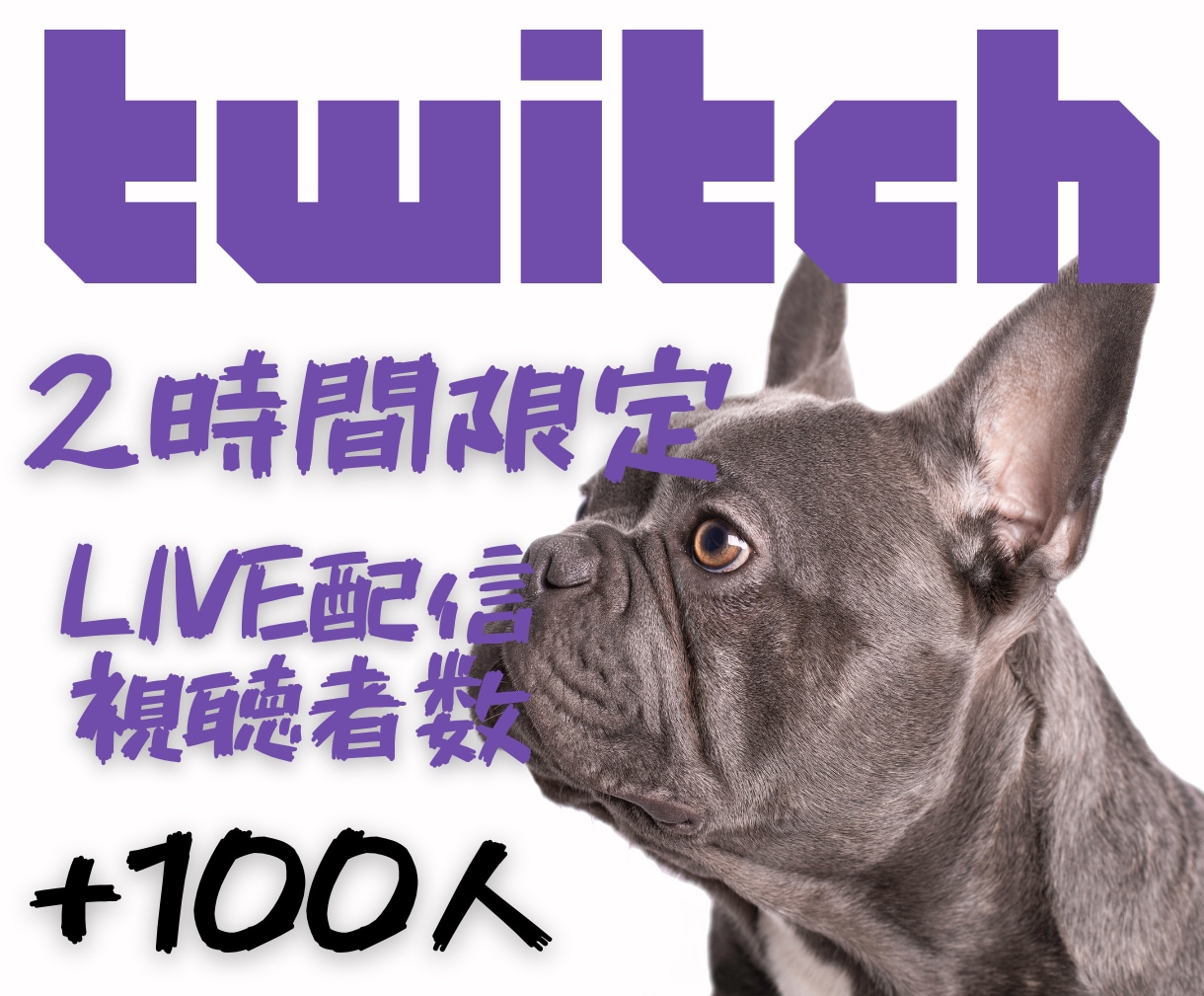 2時間限定✨ライブ配信視聴者100人増やします Twitch✨配信開始と同時に“100人の熱”が集まる！ イメージ1