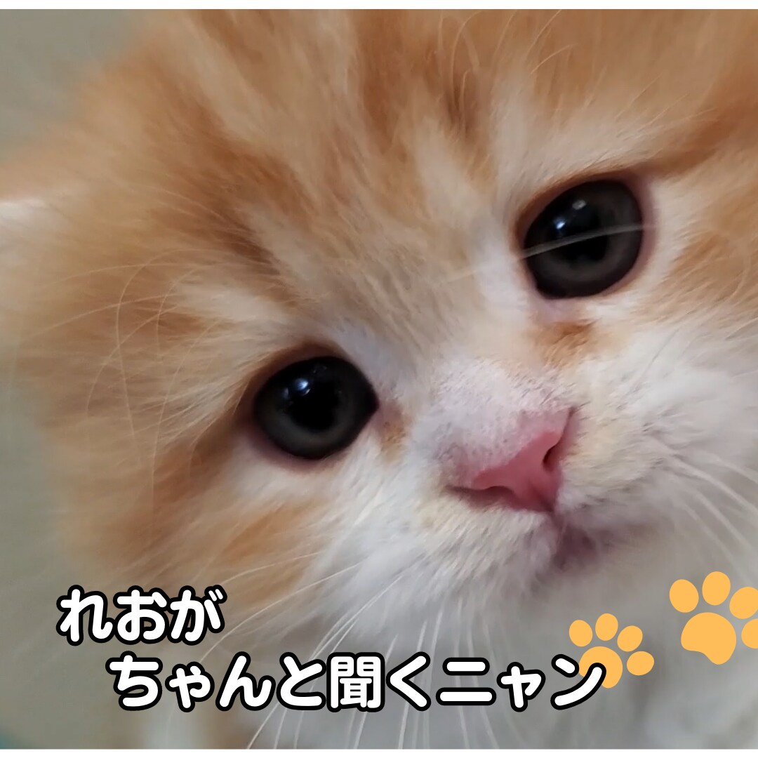 ただただ聞いてほしい事を聞いています あなたの話を全て受け入れてただじっと穏やかに聞いています イメージ3