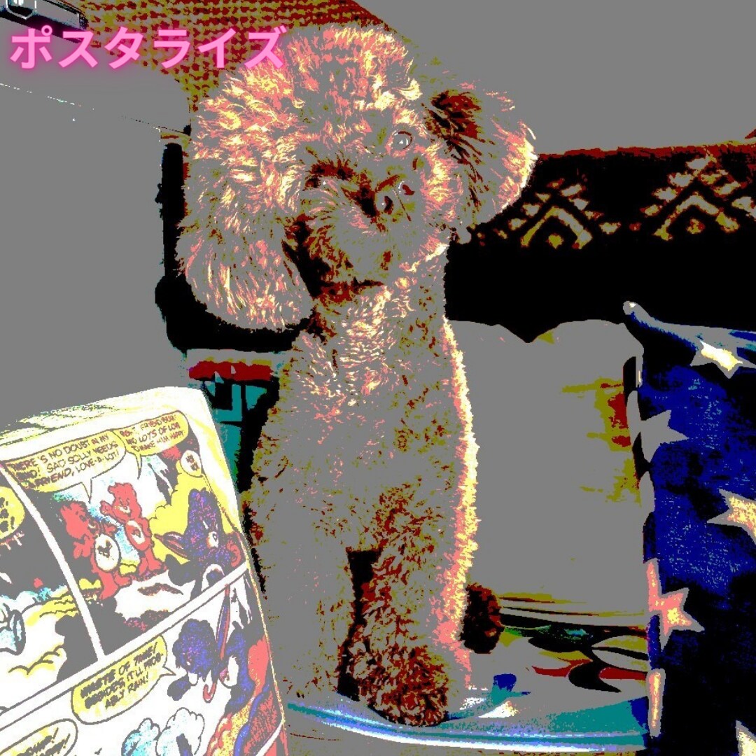 うちの子のお写真を様々なお洒落なアートに制作します 大切な家族の一員をアートにして作りませんか イメージ4