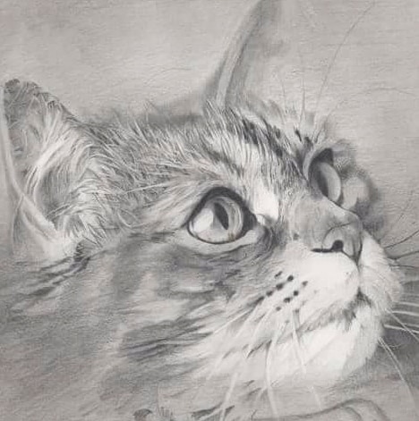 お写真を元に本格的なペットの鉛筆画を描きます かわいいペットの絵にして残しませんか？ イメージ1