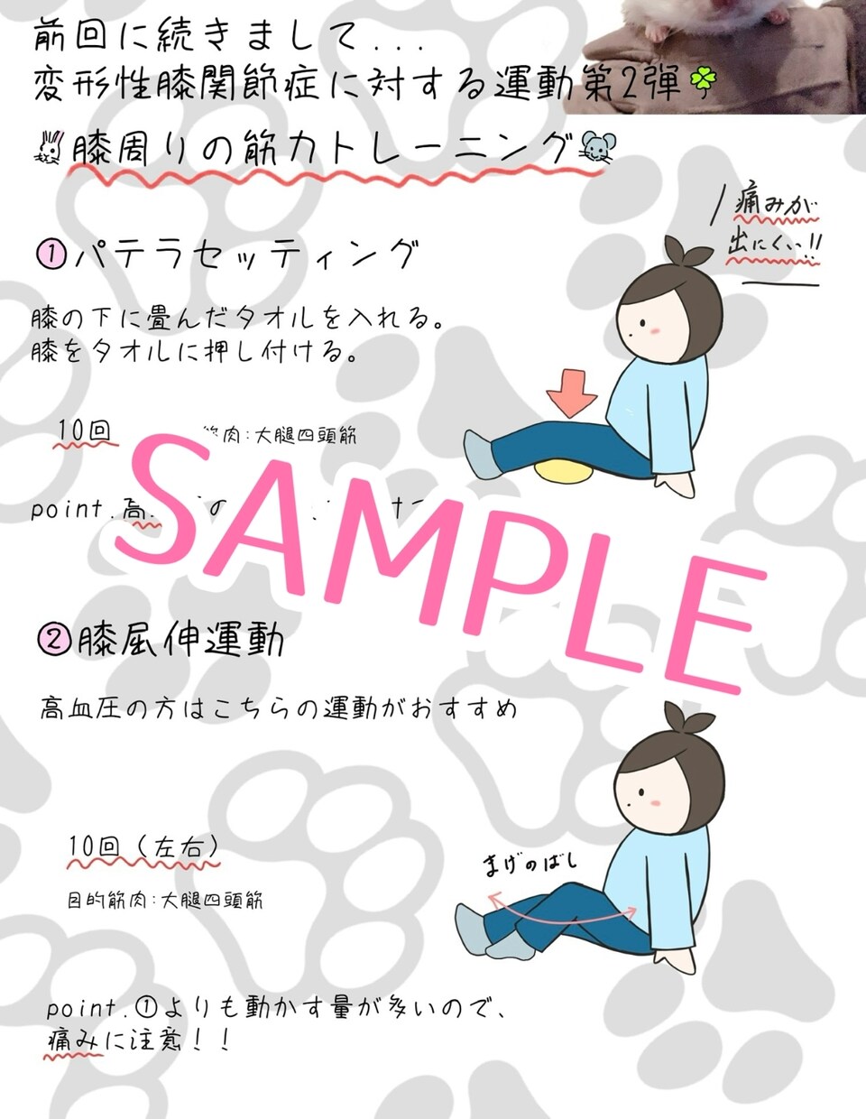 施設やご自宅で使用する自主トレーニング作成します あなたのご希望から、ニーズに合わせたものを作成します! イメージ1