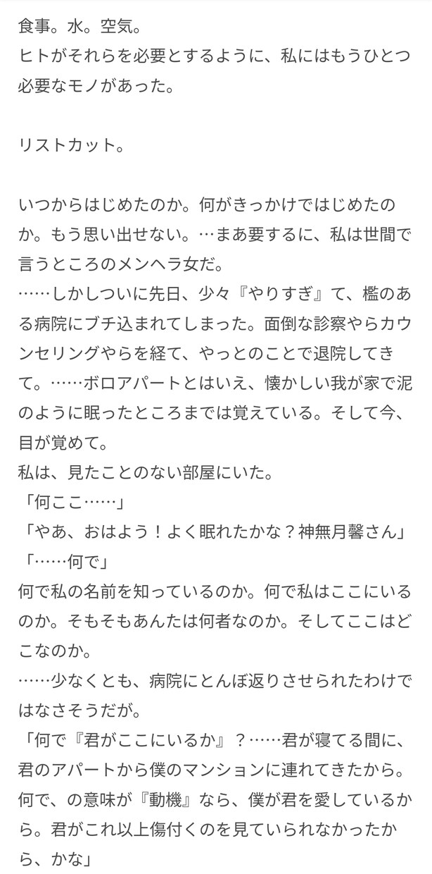 自作の小説にアドバイスします 第三者からの忌憚ない意見が欲しい方へ イメージ1