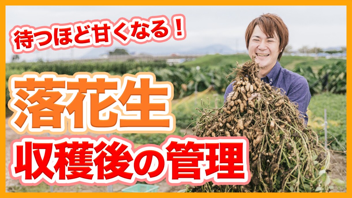 YouTubeサムネイルを作成します 再生回数を増加！クリックしたくなる！サムネイルを作成します イメージ2