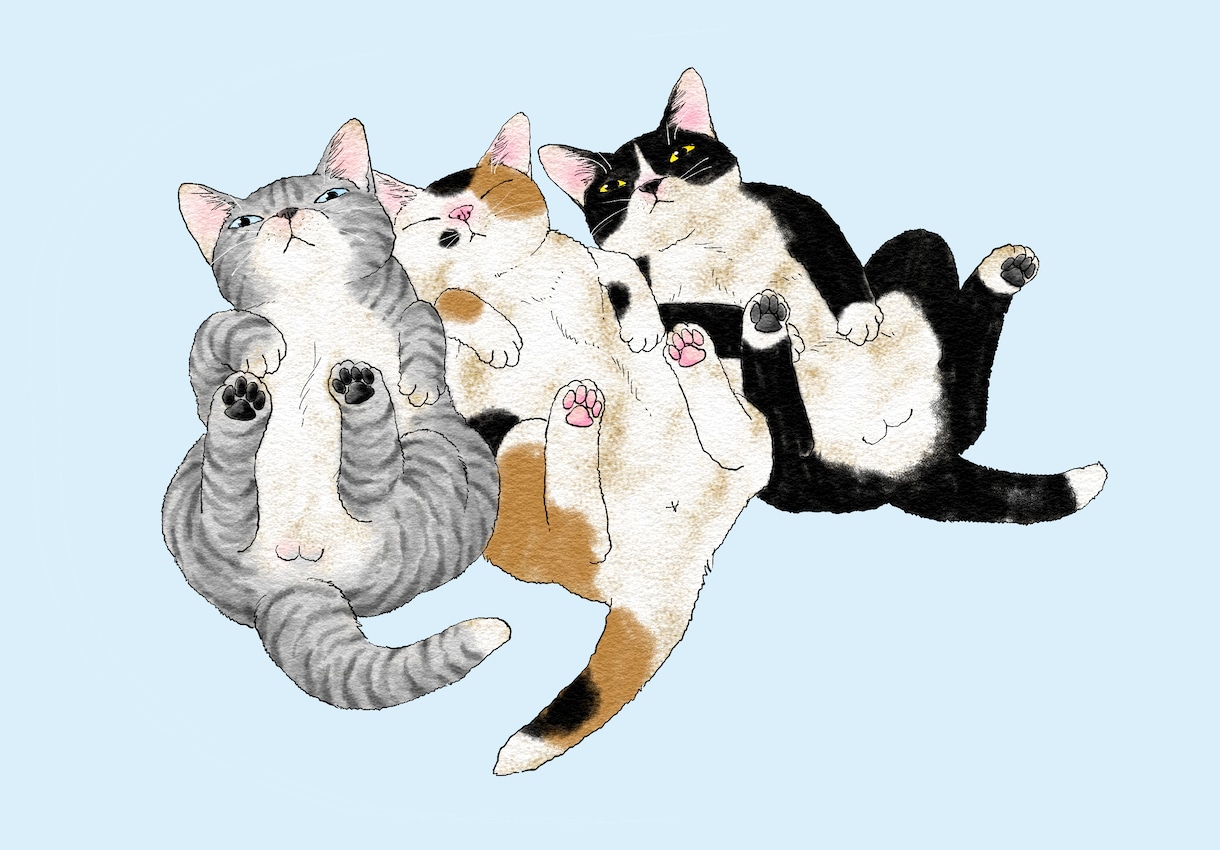 あなたの猫ちゃんを描きます 好きな猫、飼ってる猫、思い出の猫イラスト描きます！ イメージ5