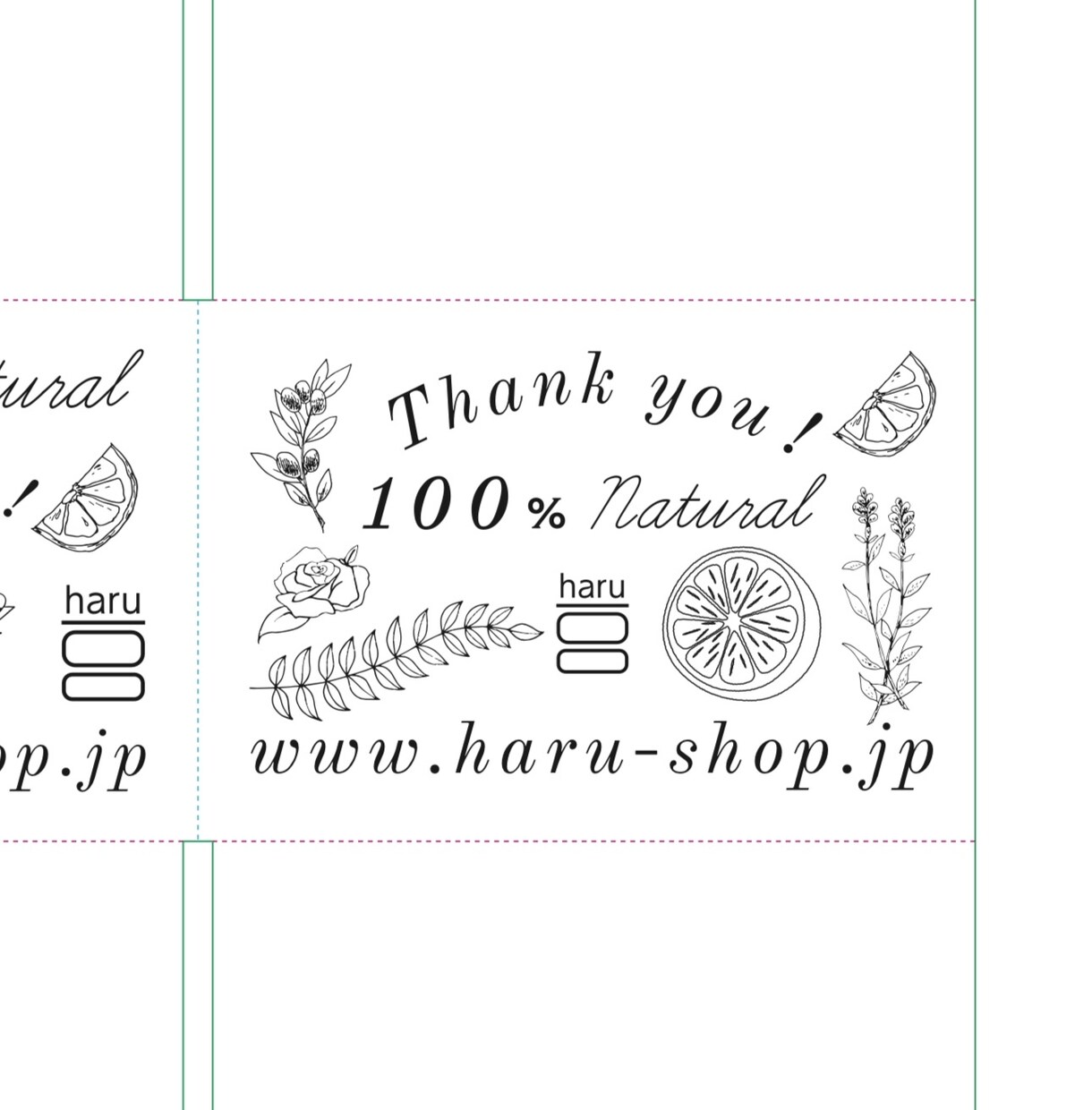 パッケージやバナーに使える線画イラスト描きます 美大卒・植物などナチュラルなイラストをご提案 イメージ2