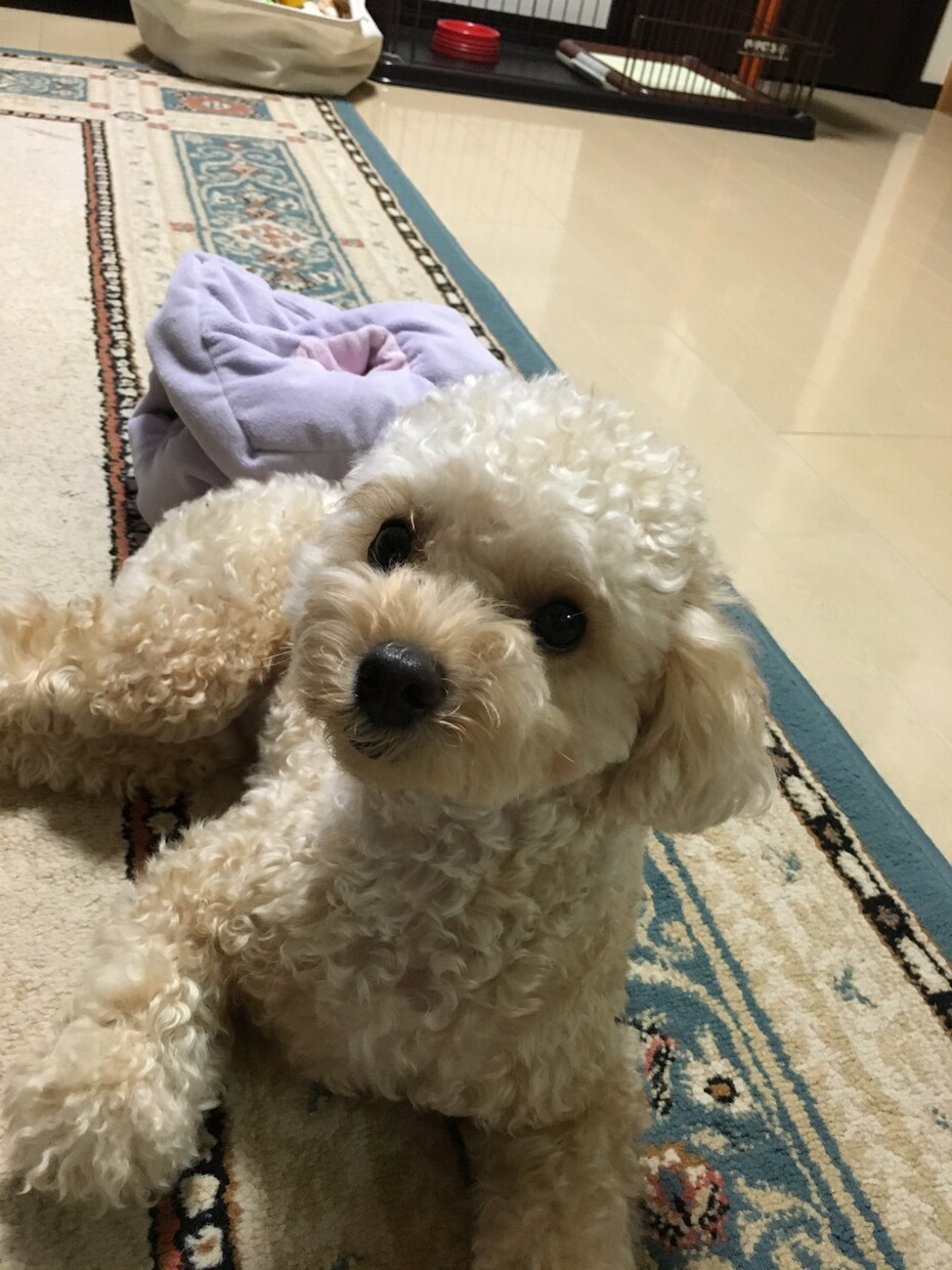 現役の保育士がお答えします。子どものことについて何でもどうぞ‼︎ イメージ1