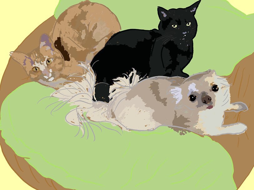 やさしい手描き風のペットイラスト描きます 大切なペットをふんわり可愛く描きます イメージ4