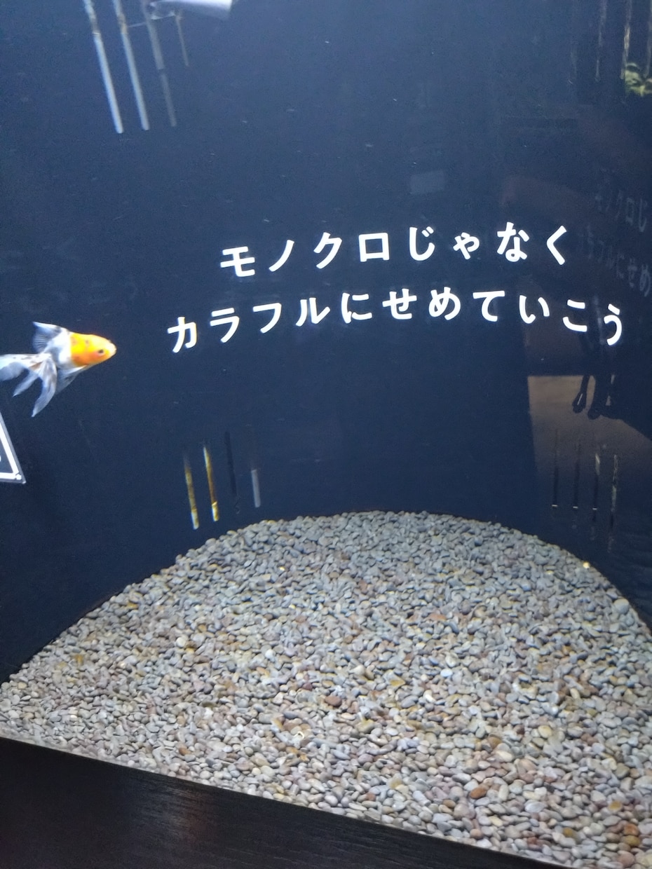 お話から秘密のことまで聞きます 秘密厳守で電話しませんか？何でもどうぞ！ イメージ8