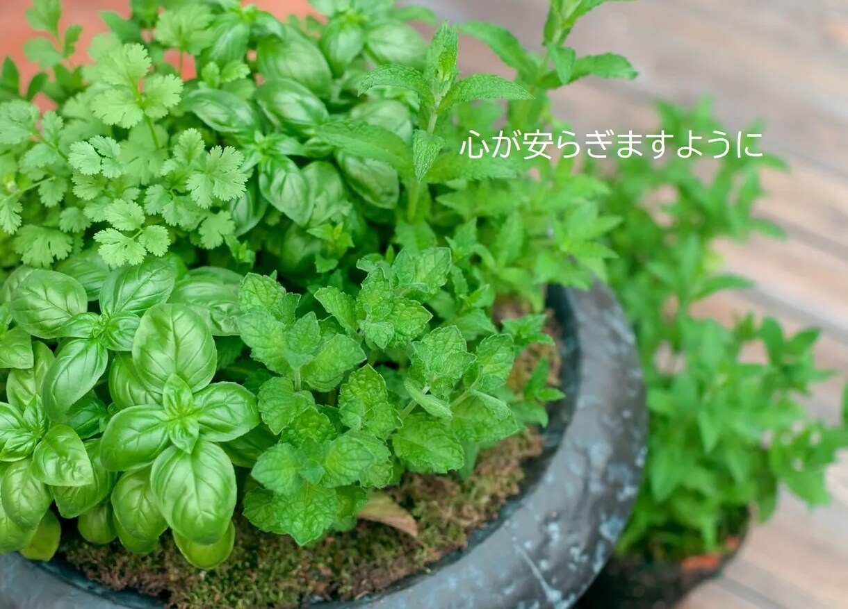 はじめての電話相談歓迎します うまく話せなくても大丈夫。なんでもじっくりお聞きします♪ イメージ5
