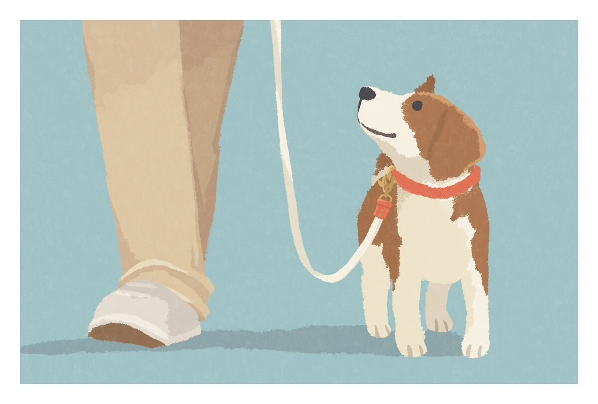 犬のイラスト描きます 大切なご家族の絵を描かせていただきます。 イメージ1