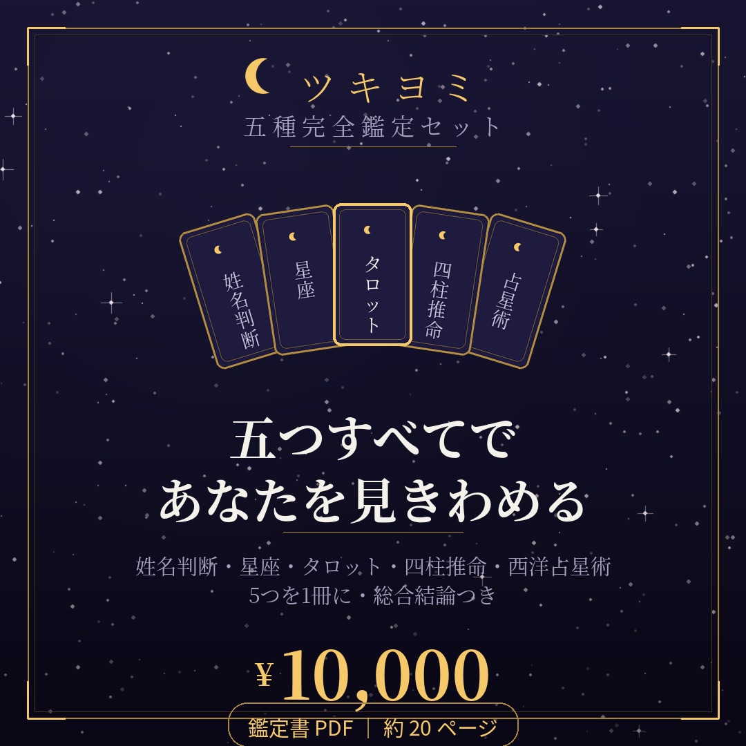 5種セットで1冊に 完全鑑定書を作ります 単品5つを1冊に 総合結論つき イメージ1