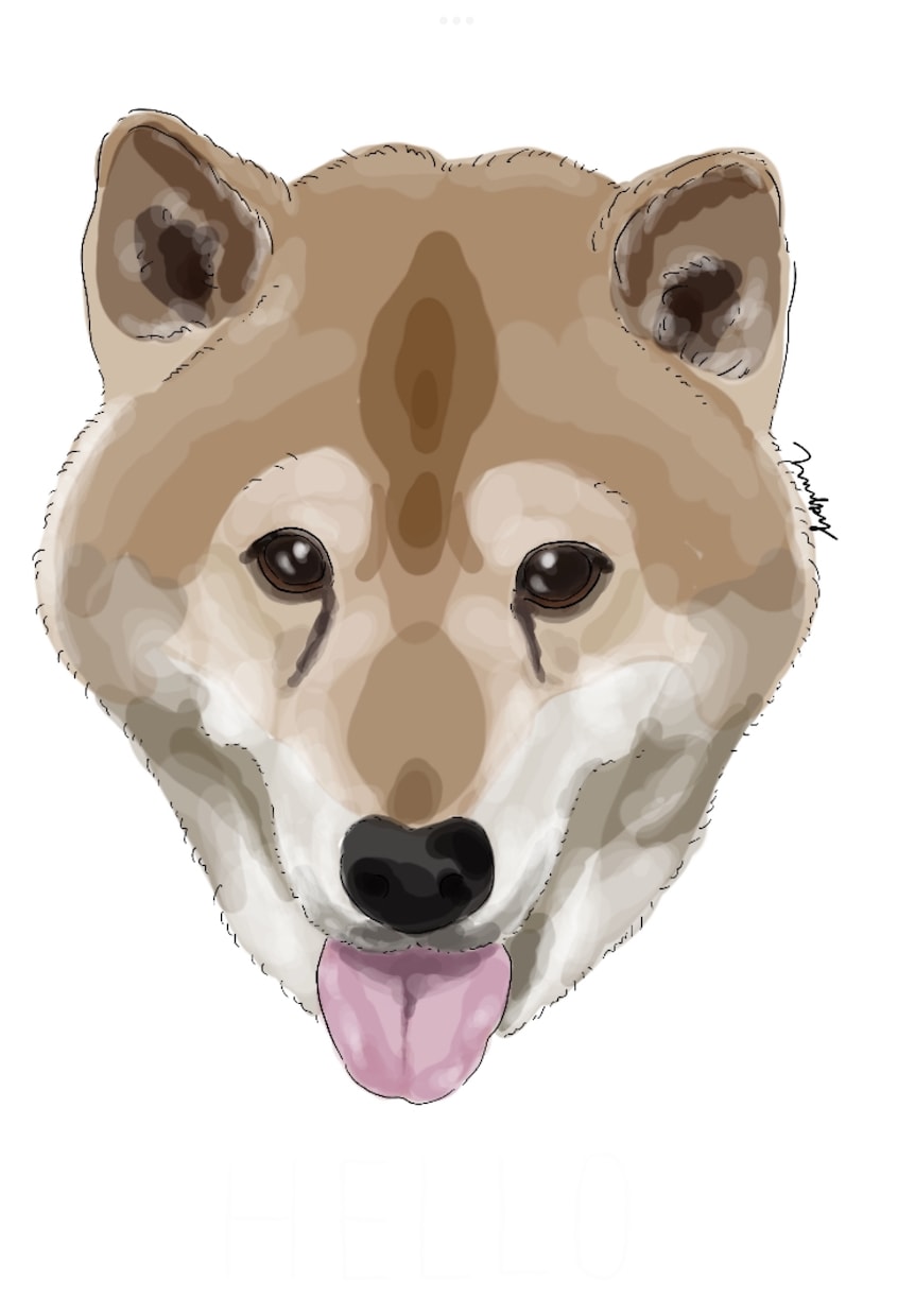 我が家の猫犬さんをイラストにします アイコンや思い出に喜んで頂いてます イメージ2