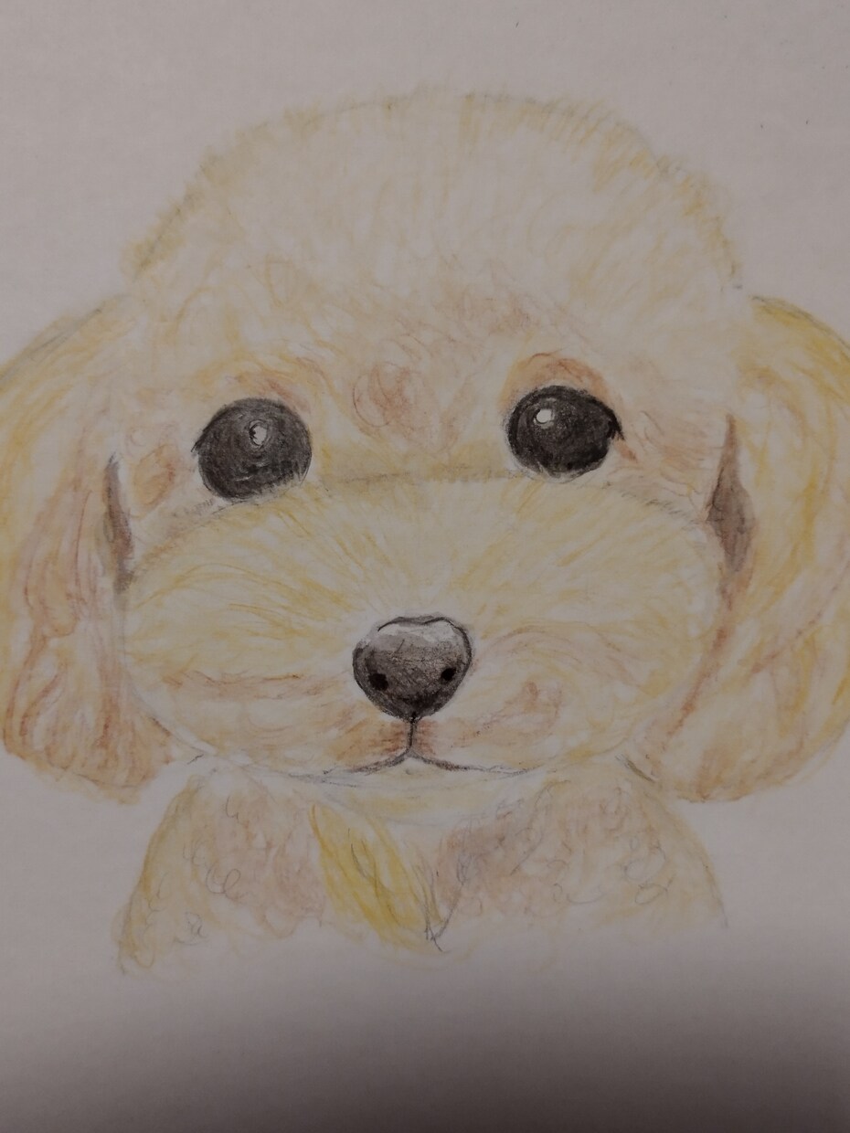 ワンちゃんのイラストを水彩色鉛筆で描きます 一点一点、気持ちを込めて描きます。 イメージ4