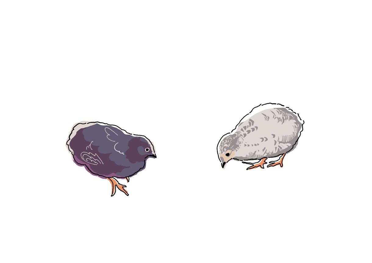 動物のご家族にがおえを作成します 完成画像でオリジナルグッズ、LINEスタンプ作れます！ イメージ6