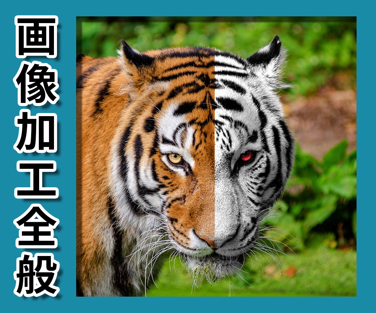プロが画像加工・修正(レタッチ)いたします 写真館での業務経験を活かして画像加工いたします イメージ1