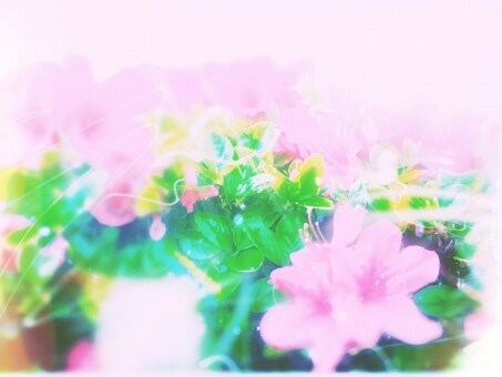 疲れたあなたをお気に入りのキャラが癒します ◆このサービスは桜蓮小説ファンの方限定です◆ イメージ3