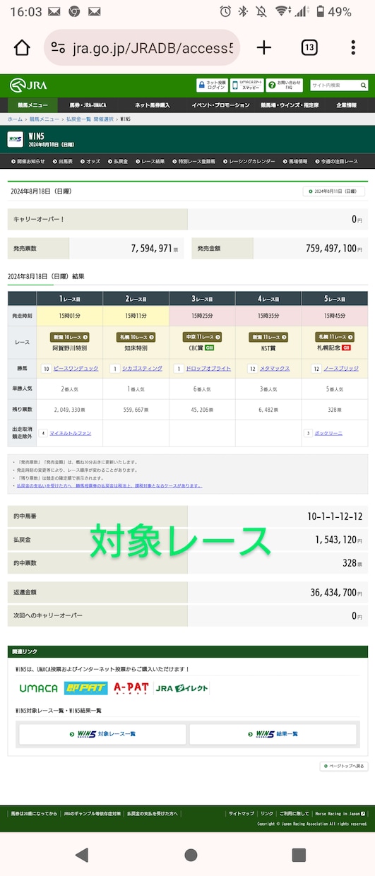 競馬少額WIN5投資！少額点数で的中方法を教えます 血統、展開、馬場傾向、持ち時計の多方面から予想します イメージ9