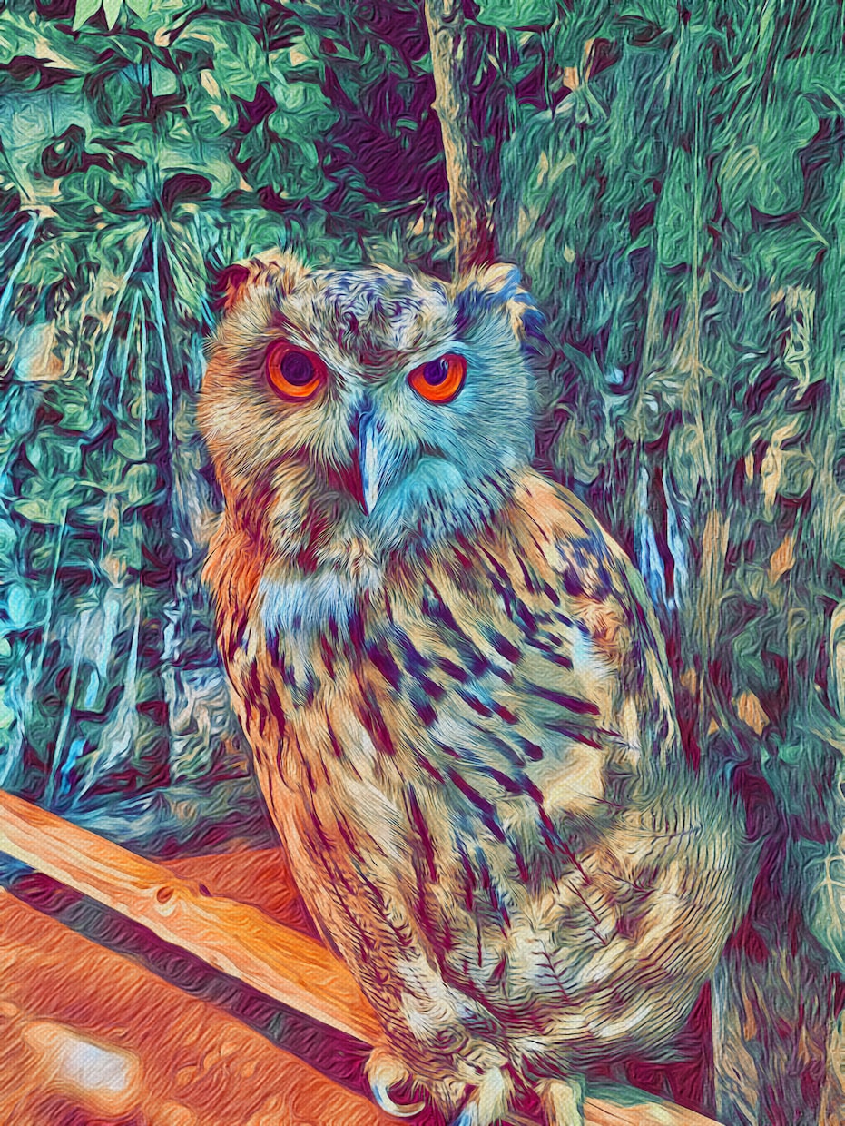 動物・食べ物の写真からイラスト作成致します 2枚目無料！即日仕上げ可能です♪メニューやトプ画にも！ イメージ7