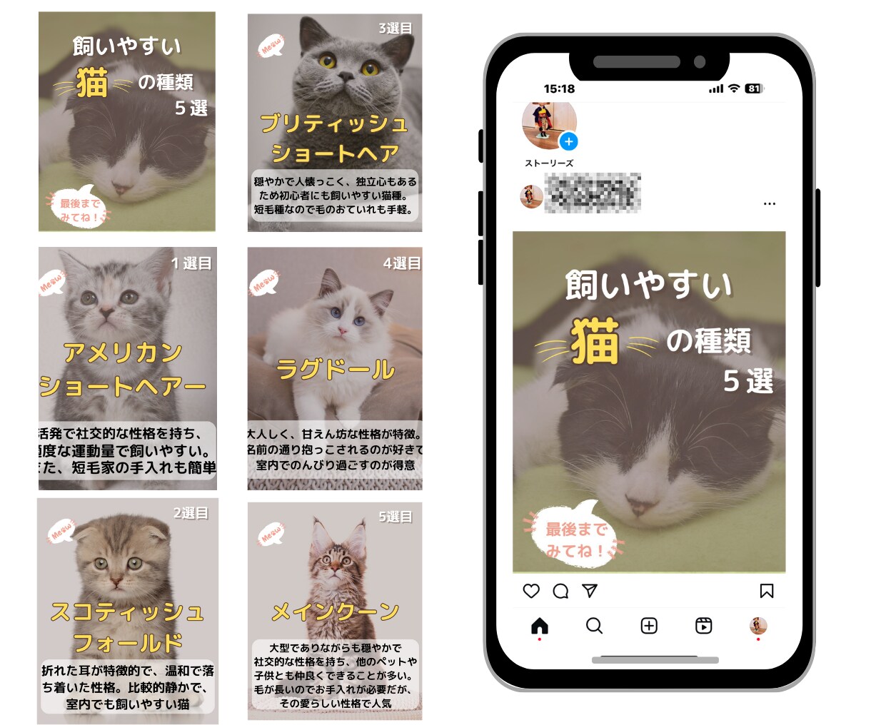Instagraｍ運用代行いたします 効果を導くインスタグラム運用のお手伝い イメージ5