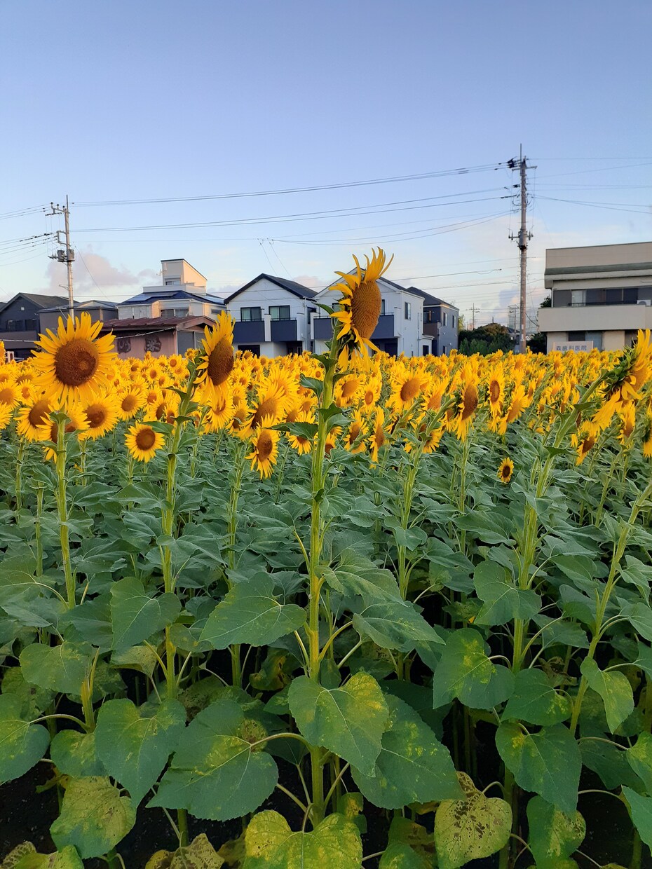 今、何が必要ですか？　明日について話し合います あなたの長い旅は終わりましたか？　旅はまだ続きますか？ イメージ1