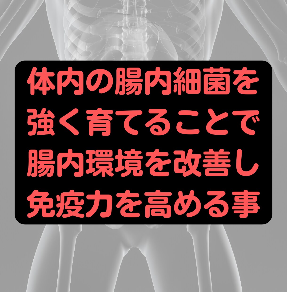 3週間で美しく"5kg"痩せる『腸育』を提案します 宿便を身体から排泄し、真の健康を自分自身で作りたい人限定！ イメージ3