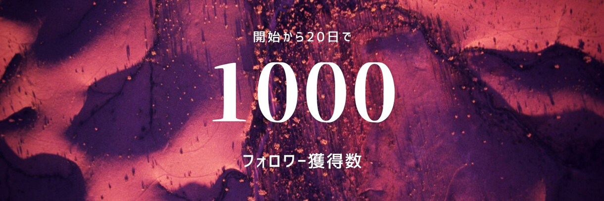 フォロワーが増えるプロフ添削します あなたの運用爆伸びさせてください。 イメージ1
