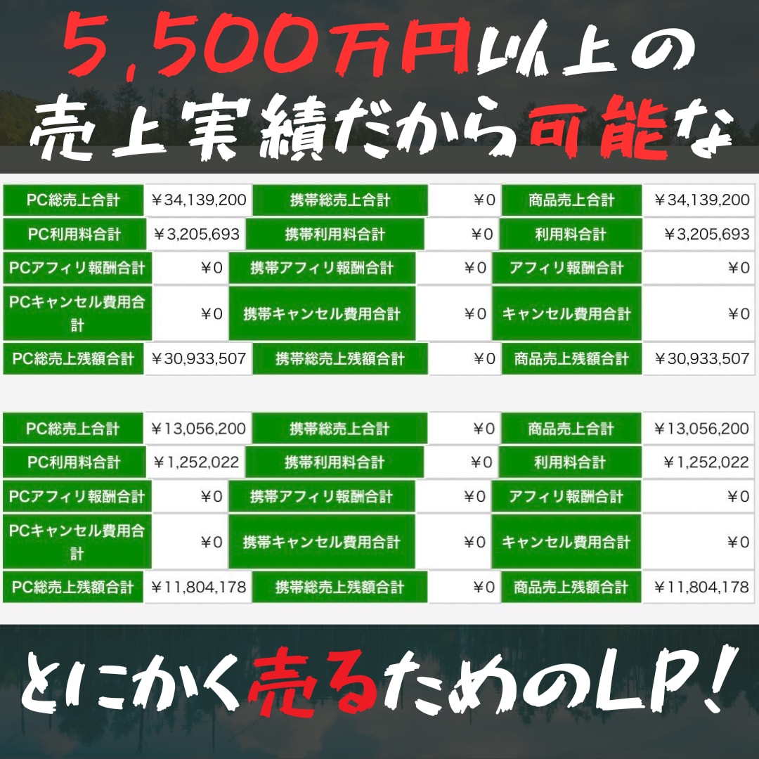 超短期対応！納期に困ってる方へLP制作代行します 最速で翌日お届けが可能です/LP構成/ライティング/丸投げで イメージ2