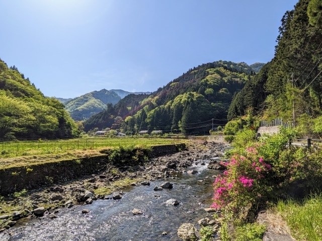 恋活、婚活をトータルサポートしております 恋愛、婚活等でのトラブルやお悩みをお気軽にご相談ください イメージ4