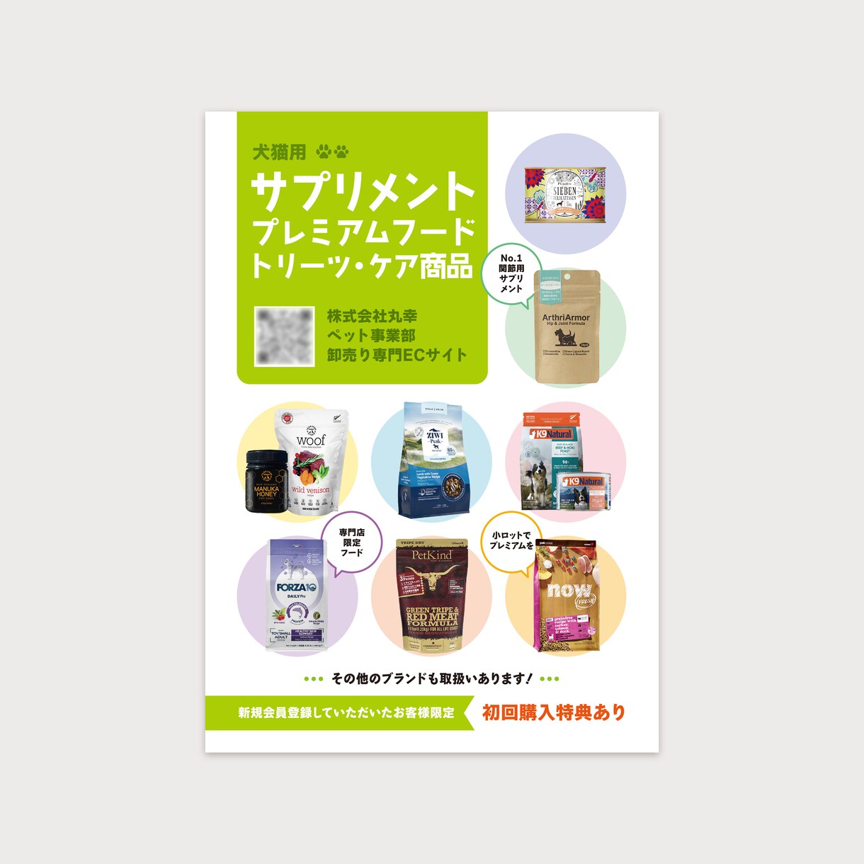わかりやすく印象に残るチラシを制作します チラシ・DM・フライヤー・ハガキ・ポスターのデザインします！ イメージ7