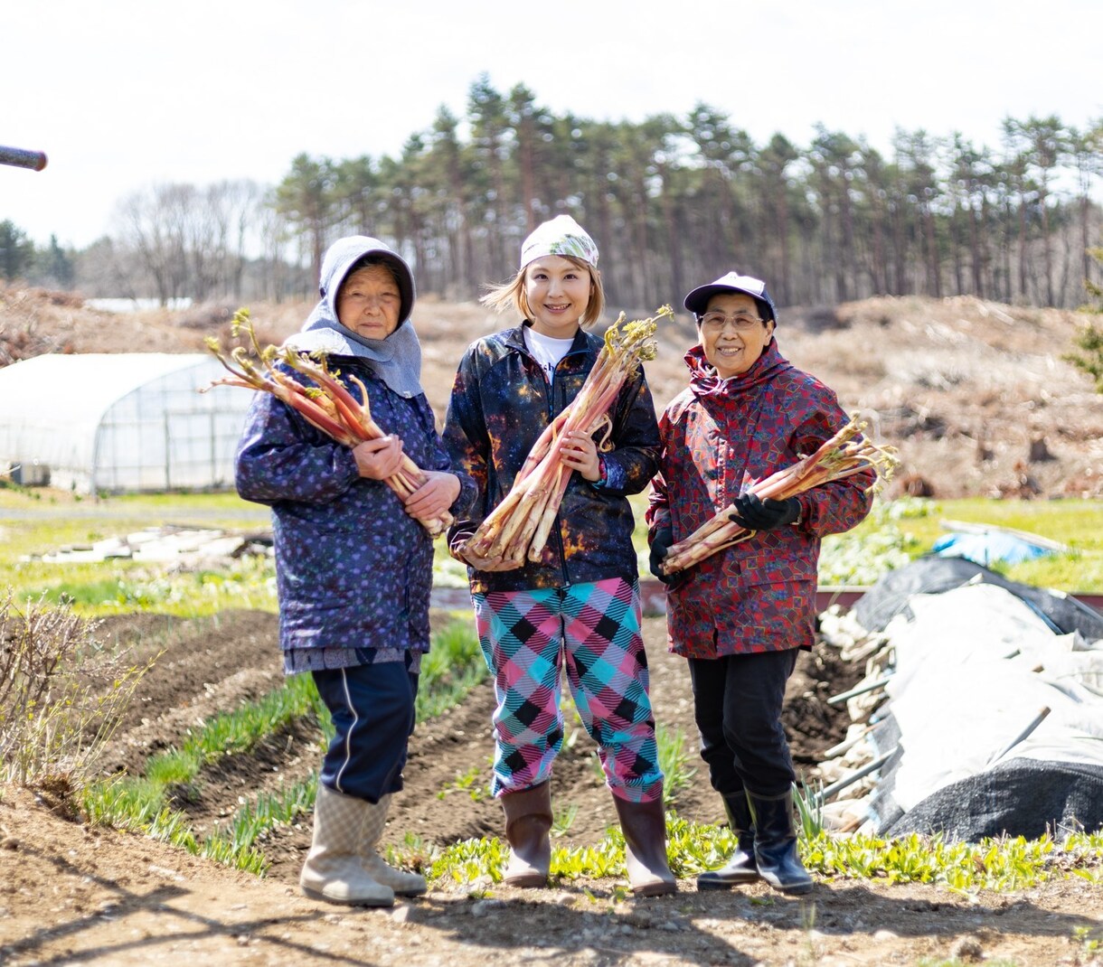地方移住のきっかけ相談承ります 東京から岩手へ移住した私が移住に大事なことアドバイスします イメージ2