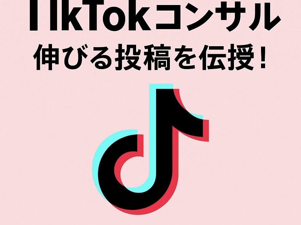 3ヶ月で4.3万の私が貴方のTikTok伸ばします 3ヶ月で4.3万人フォロワーの私が貴方のTikTokを分析！ イメージ1