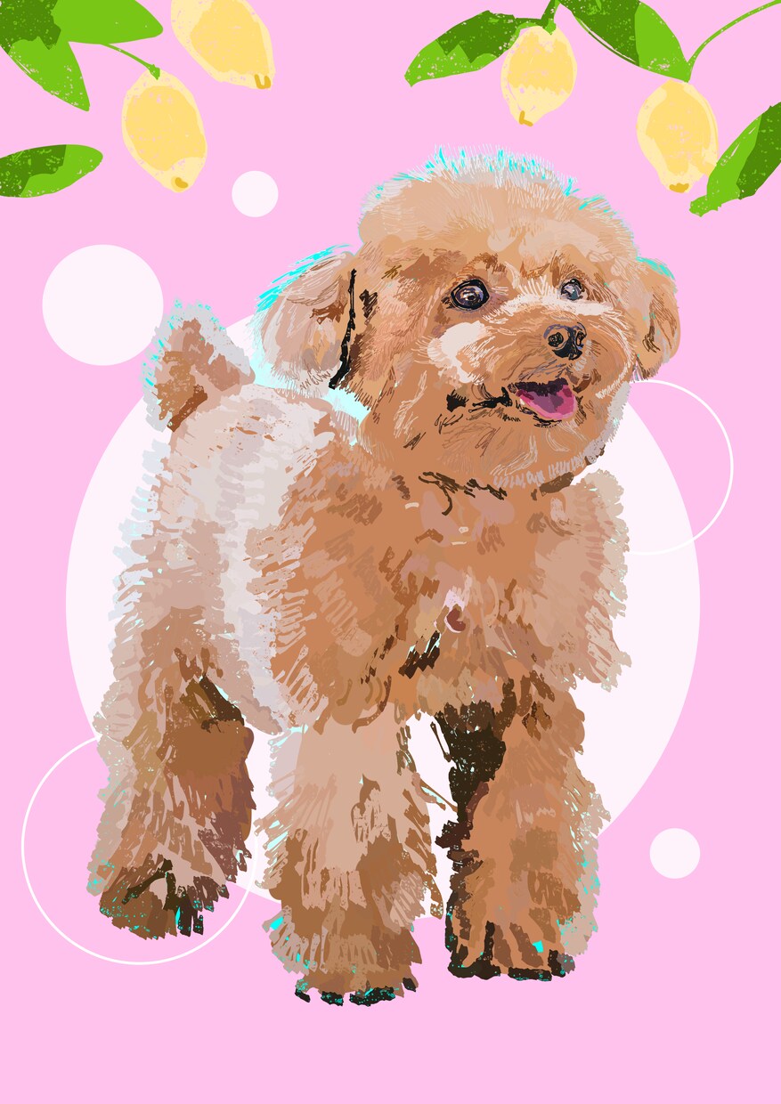 うちの子・ペットの似顔絵お描きします 8/31までの特別価格です！多頭飼い様も是非☆ イメージ1