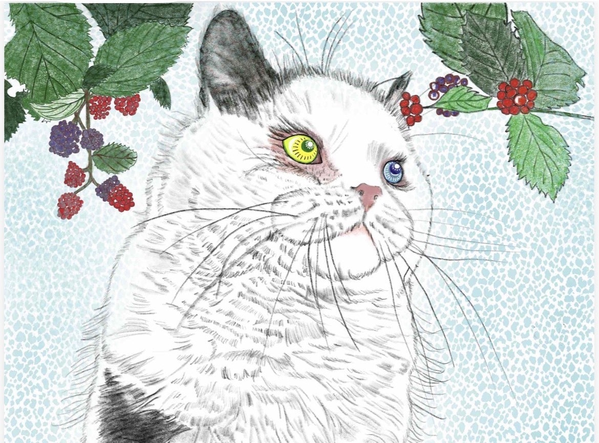 即日納品可能、画像を参考に鉛筆スケッチを描きます 画像を元にスケッチ画から全面カラーの絵画まで心温まる物に。 イメージ1