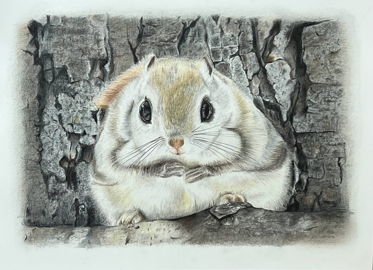 写真からペットイラストを色鉛筆で手描きします 写真とは違う温もりを優しいタッチで、心を込めて制作します イメージ1