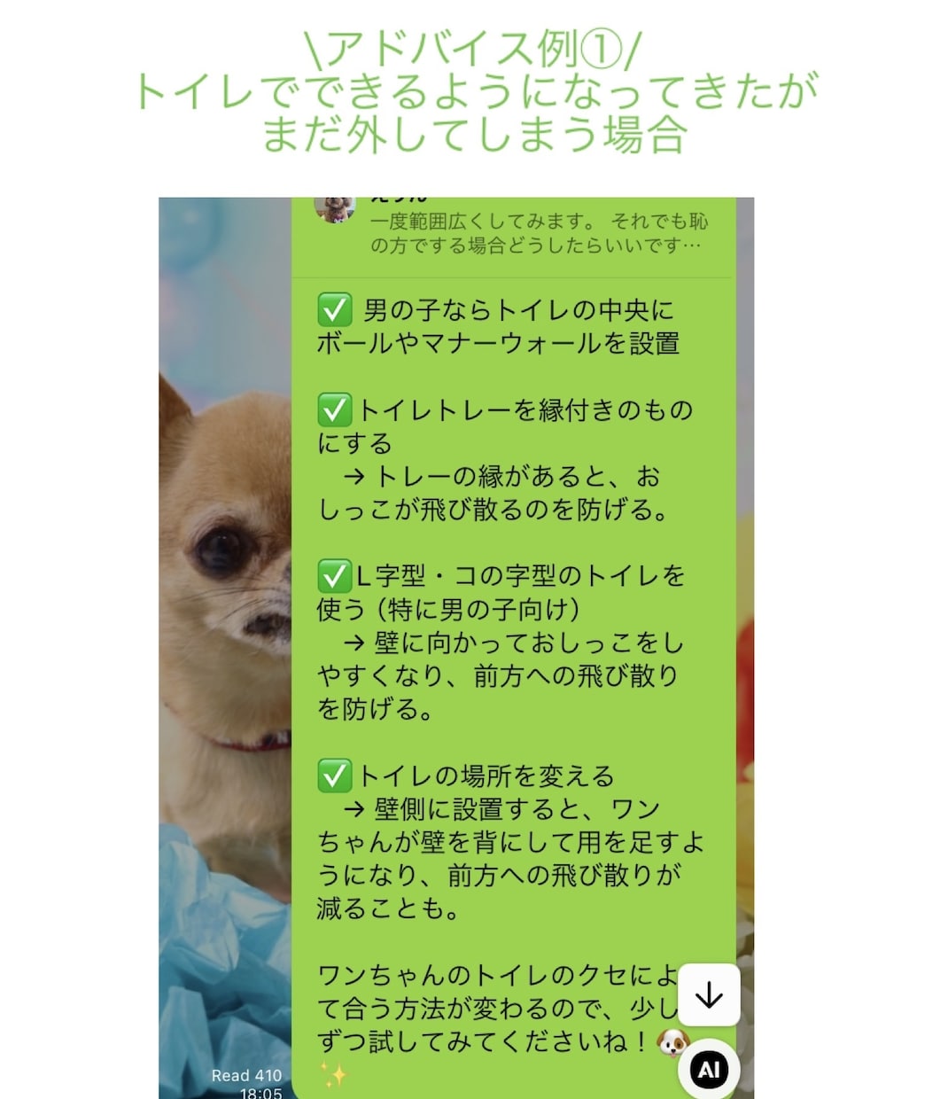 オンラインしつけ相談をします ペットとより良い暮らしに！しつけ教室の前にご相談ください！ イメージ3