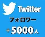 Twitterフォロワー5000人増やします Botは使用しません！ポリシー違反もありません！ イメージ1