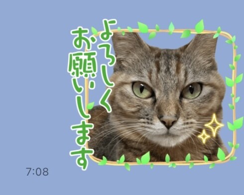 あなたの大切なペットのLINEスタンプを作ります 可愛くて使いやすいLINEスタンプを作ります！ イメージ2