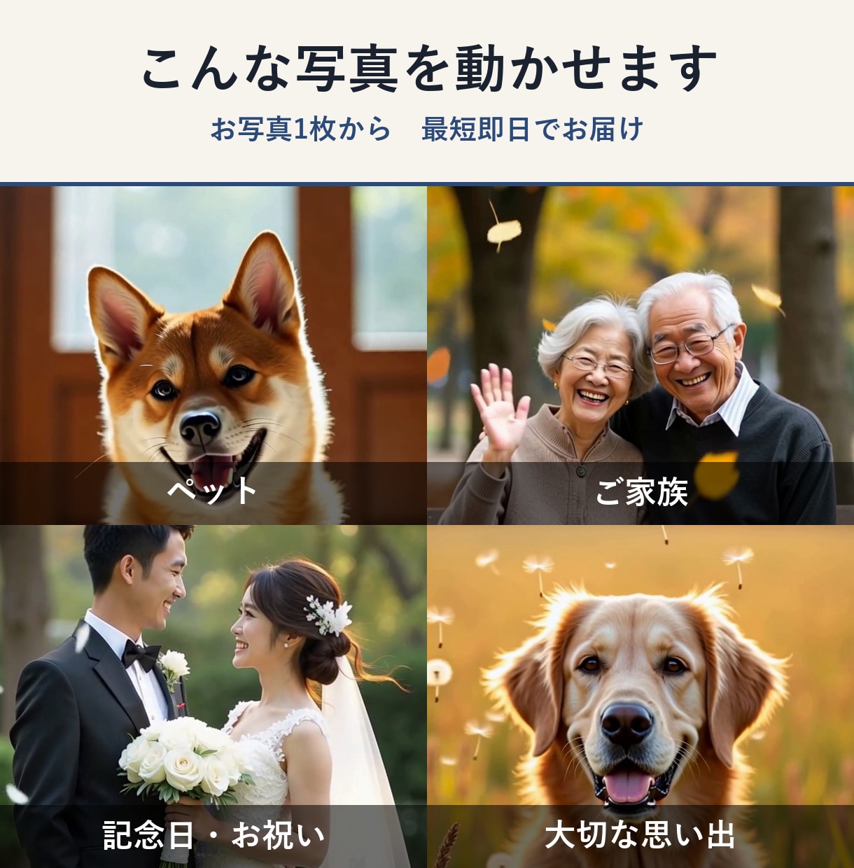 ペット・家族の写真を動く動画にします しっぽを振る、笑って手を振る。5秒の贈り物 イメージ2