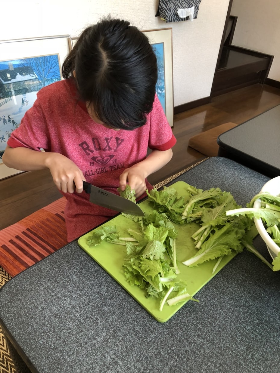 小学生のお子さんに個性の合う習い事をお教えします あなたのお子さんの個性に合った習い事をお教えします！ イメージ2