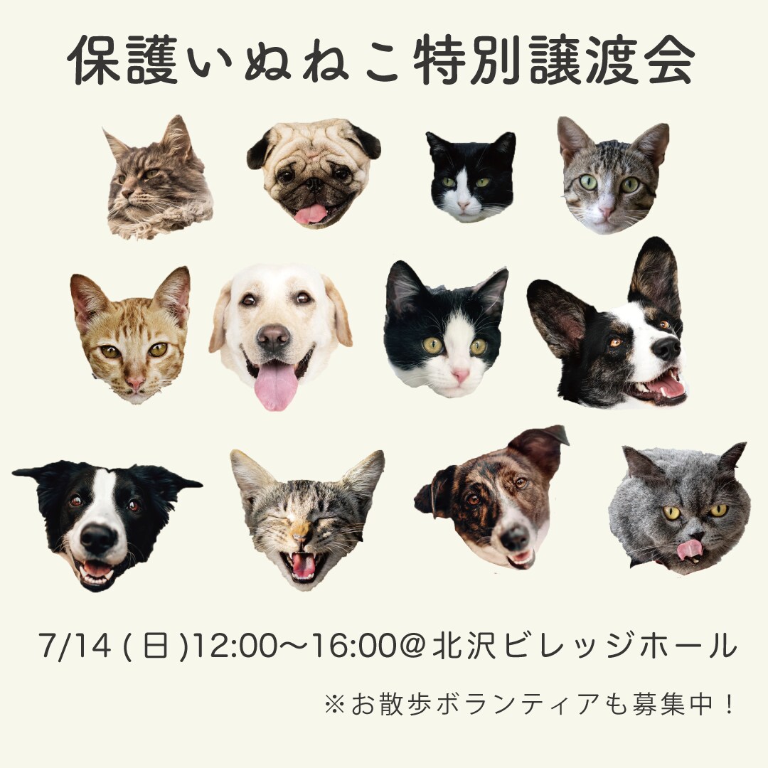 web用バナー・ヘッダー作成します 広告用のキャッチーな静止画バナー等の画像をご提供します イメージ9