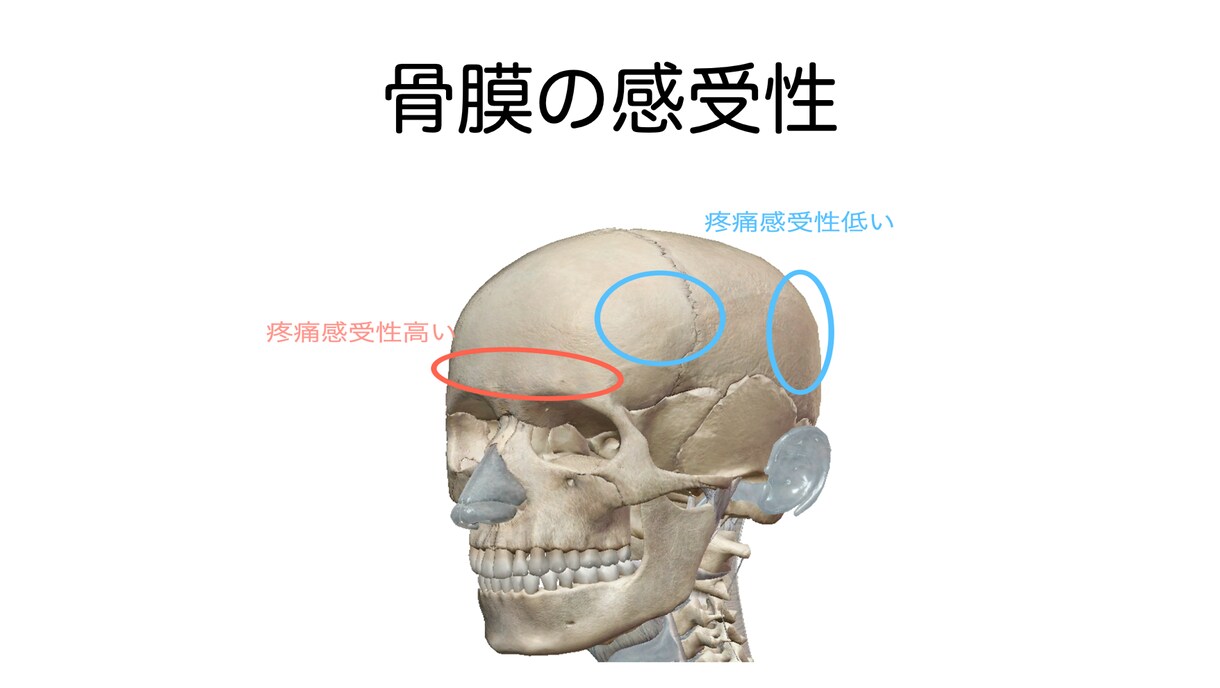 日常的な頭痛について説明します これを見たら自分の頭痛の正体が解明する！ イメージ2