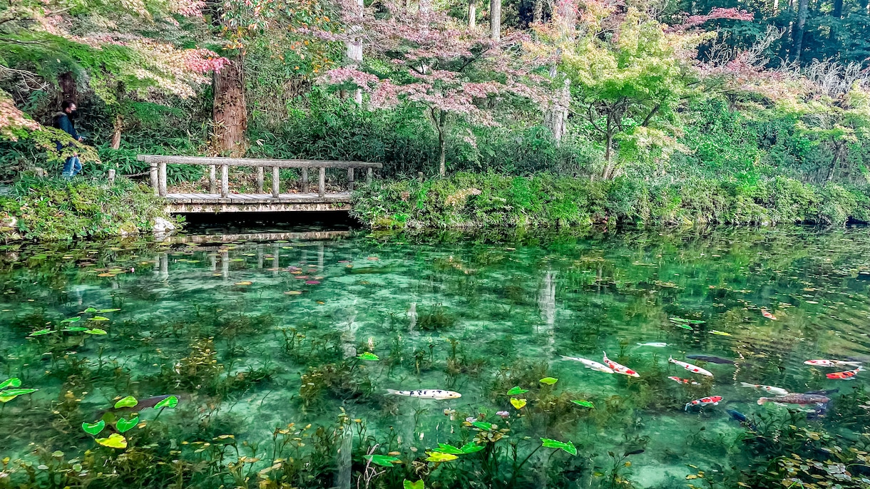 バズり経験あり！！！素敵な写真に仕上げます ご要望通りのレタッチで写真をさらに素敵なものにします♪ イメージ4