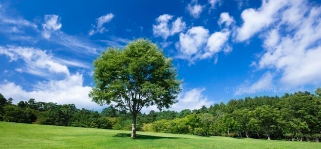 適応障害でも、笑って話せる場所を提供します 経験者しか伝わらない、、話すだけで心が少し軽くなるよ イメージ1